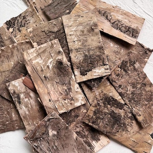 DDP | 4 Pcs Natural Peelable Birch Bark,Vintage Forest Style,DIY Micro Landscape Junk Journal Supplies,Suitable For Scrapbooking,Handcrafts