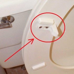 May include: Close-up of a white toilet seat hinge and a chrome flush handle. The hinge is highlighted with a red circle and an arrow. The toilet seat and bowl are white.