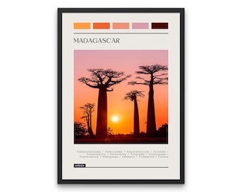 Madagascar Travel Poster: Modern Color Block Print (Digital Download)