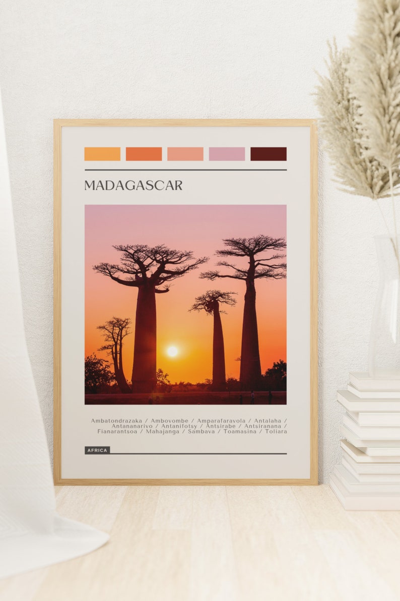 Madagascar Travel Poster: Modern Color Block Print (digital Download ...