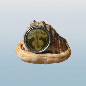 Antique Rochester Health Thermometer Seashell Souvenir