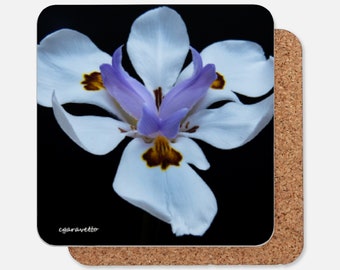 Iris Flower on a Drink Coaster - artwork coaster