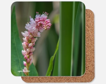 Pink Sweet Pea Flower blooming on a Drink Coaster - artwork coaster