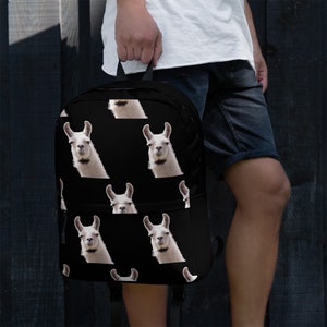 Photo d'animal lama sur le sac à dos