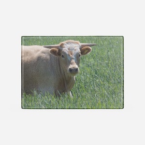 Cow Art on a Cutting Board- Kitchen Board Glass