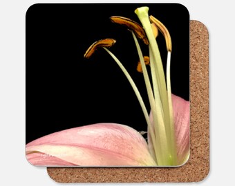 Pink Flower and stamen close up on a Drink Coaster - artwork coaster