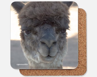 Alpaca Animal on a Drink Coaster- artwork coaster