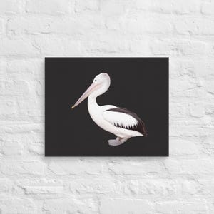 Pelican Bird Photograph on Canvas