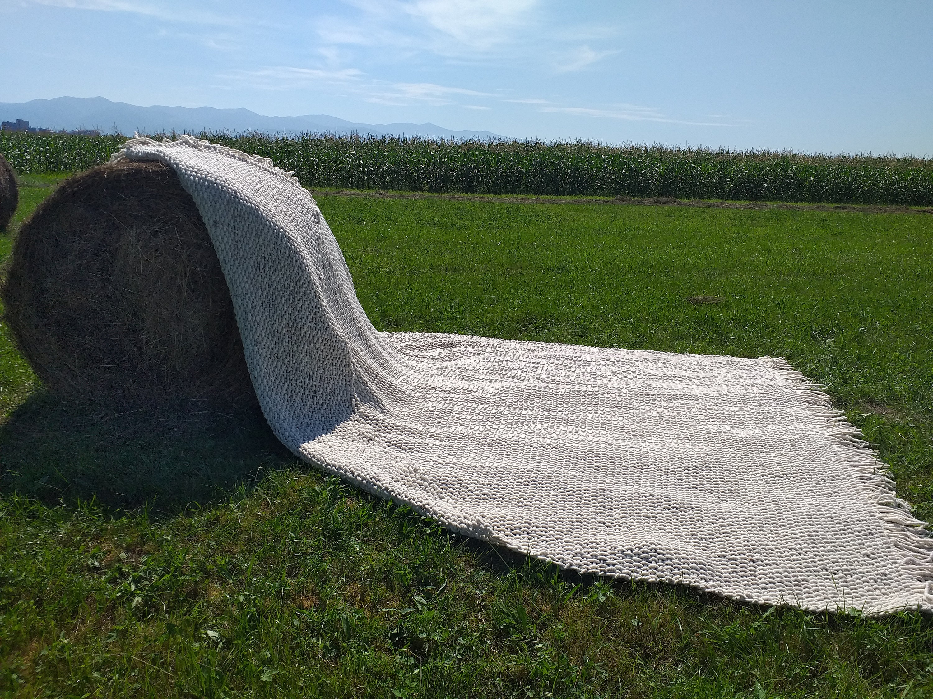 10x14 Chunky Wool Rug/large Area Rug for Living Room/ Undyed Etsy Norway