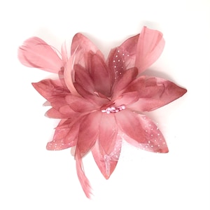 May include: A blush pink flower hair clip with a delicate feather accent. The flower is made of soft fabric and has a subtle shimmer.
