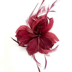 May include: A burgundy feather flower, likely a hair accessory, against a white background. The flower is composed of layered feathers, with a central, rounded shape and elongated, wispy feathers extending outwards. The color is a deep, rich shade of red.