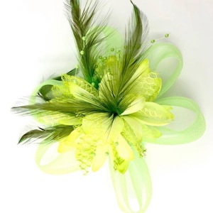 Puede incluir: Un clip de pelo con una flor verde y amarilla, plumas y un lazo de malla verde.