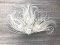 Ivory Feather & Pearl Fascinator