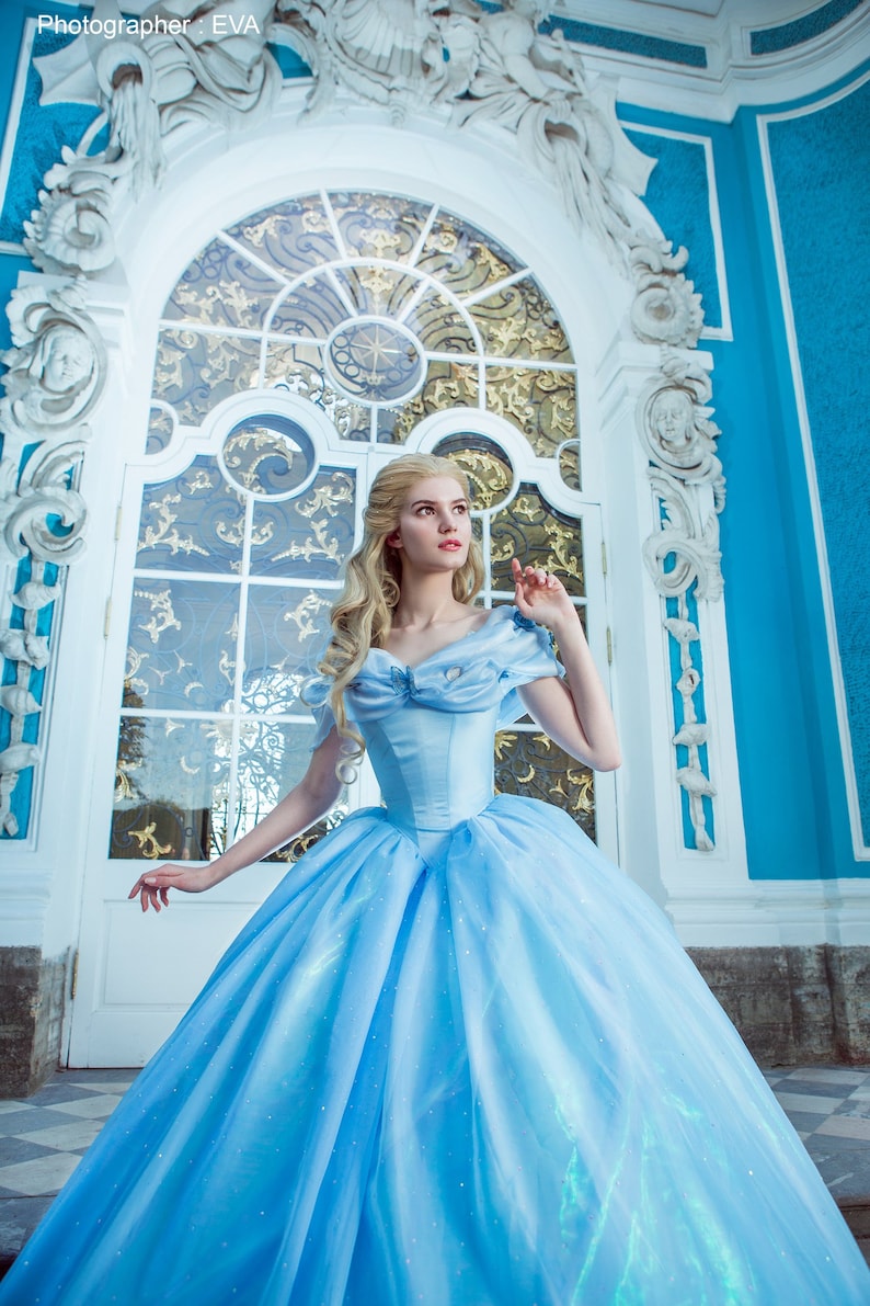 two piece cinderella costume