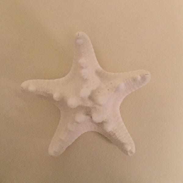 Starfish Bouttonaire. Nautical Wedding, Shell Lapel Pin, Groomsmen, Nobbly Starfish Pin, Beach Wedding, Seashell Bouttonaire, Shell Corsage