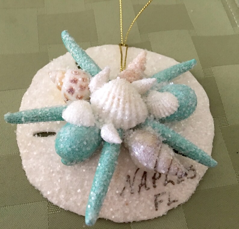 Naples Florida Seashell Christmas Ornament.w/ Opalescent Etsy