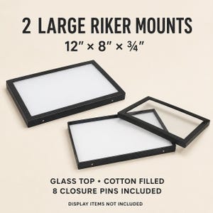 May include: Two large black Riker mounts measuring 12 inches by 8 inches by 0.75 inches. Each rectangular display case features a glass top, a cotton-filled interior, and includes 8 closure pins. The text 2 LARGE RIKER MOUNTS 12" x 8" x 3/4" is visible.