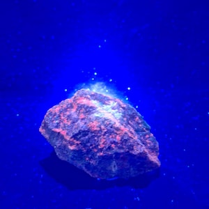 May include: A rough, irregularly shaped rock specimen displaying vibrant fluorescent orange and pink mineral inclusions against a dark, textured base, illuminated under ultraviolet light to create a glowing effect against a deep blue background.