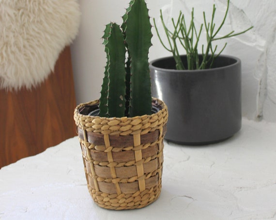 Woven Grass and Palm Planter Basket