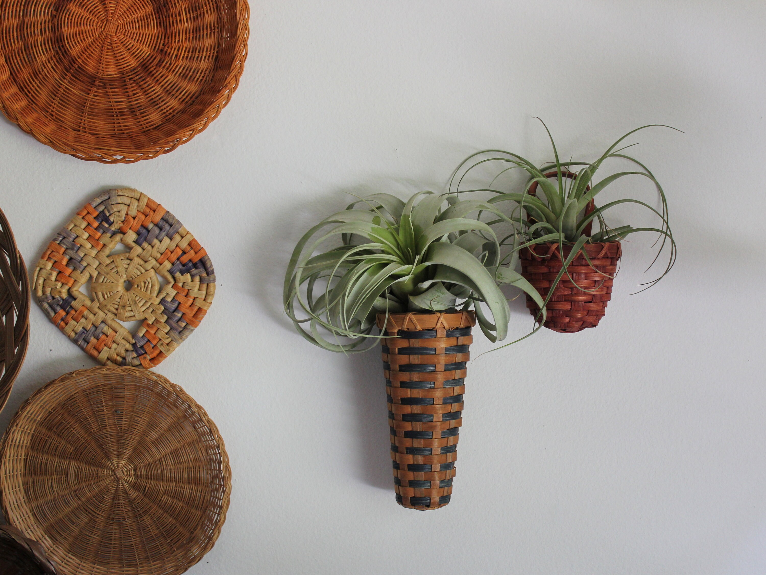 Hanging Rattan Mini Baskets Boho Air Plant Holder Dried Flower Display