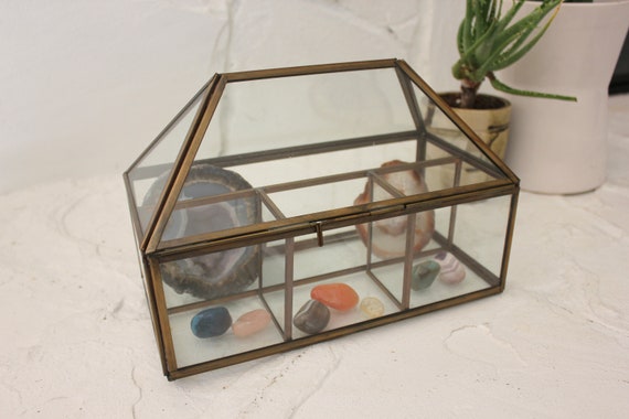 Large Glass and Brass Curio Display Case Terrarium