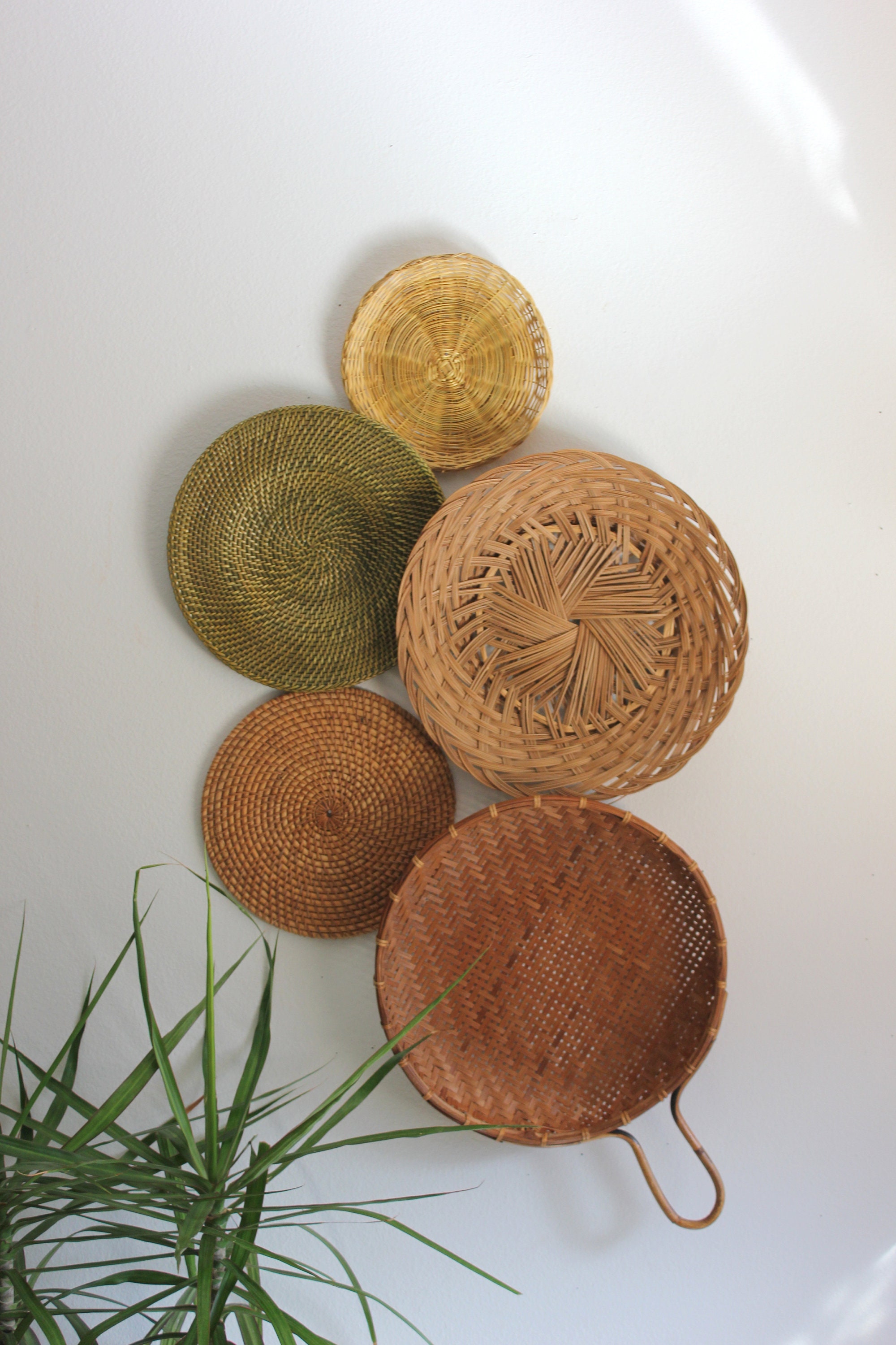 Beautiful Bohemian Basket Grouping Set of 5 Rattan Woven Wall Art