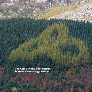May include: An aerial view of a forest with a Celtic Trinity Knot design created by planting trees in a specific pattern. The text "The Celtic Trinity Knot written in trees. County Sligo Ireland" is visible at the bottom of the image.