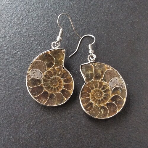 Ammonite/Fossil Spiral Geology Black and White Stud Earrings 1 pair