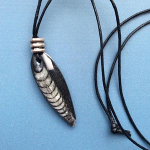 Orthoceras real genuine fossil pendant. Gift craft Irish made Moroccan stone