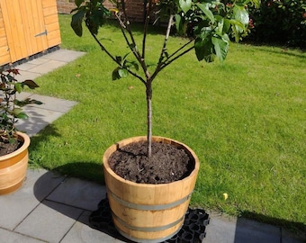 New Hardwood Chestnut Half Barrel Planters Flower Pot Herb Garden Wooden Tree Plant