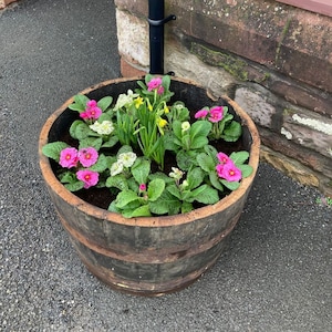 Oak Whiskey Half Barrel Planters *Multiple Size Options* See dimensions in product description