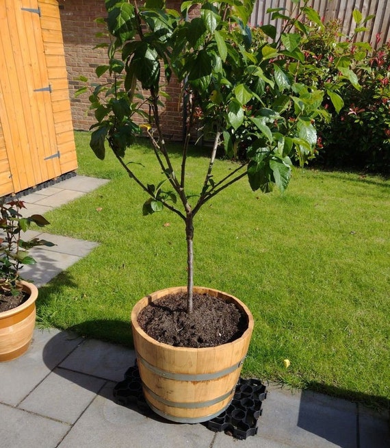 New Hardwood Chestnut Half Barrel Planters Flower Pot Herb Garden