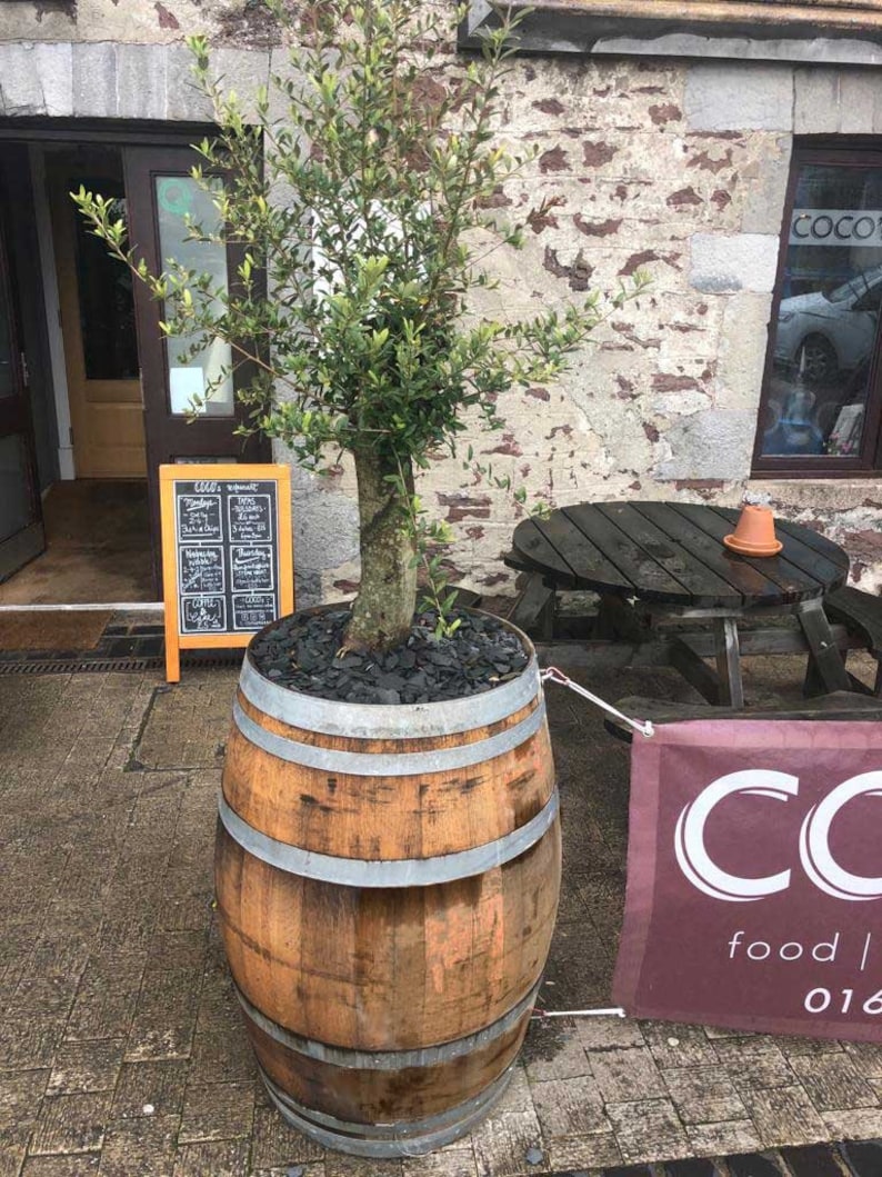 Wine Barrel Garden Planters Multiple Size Options From Oak | Etsy