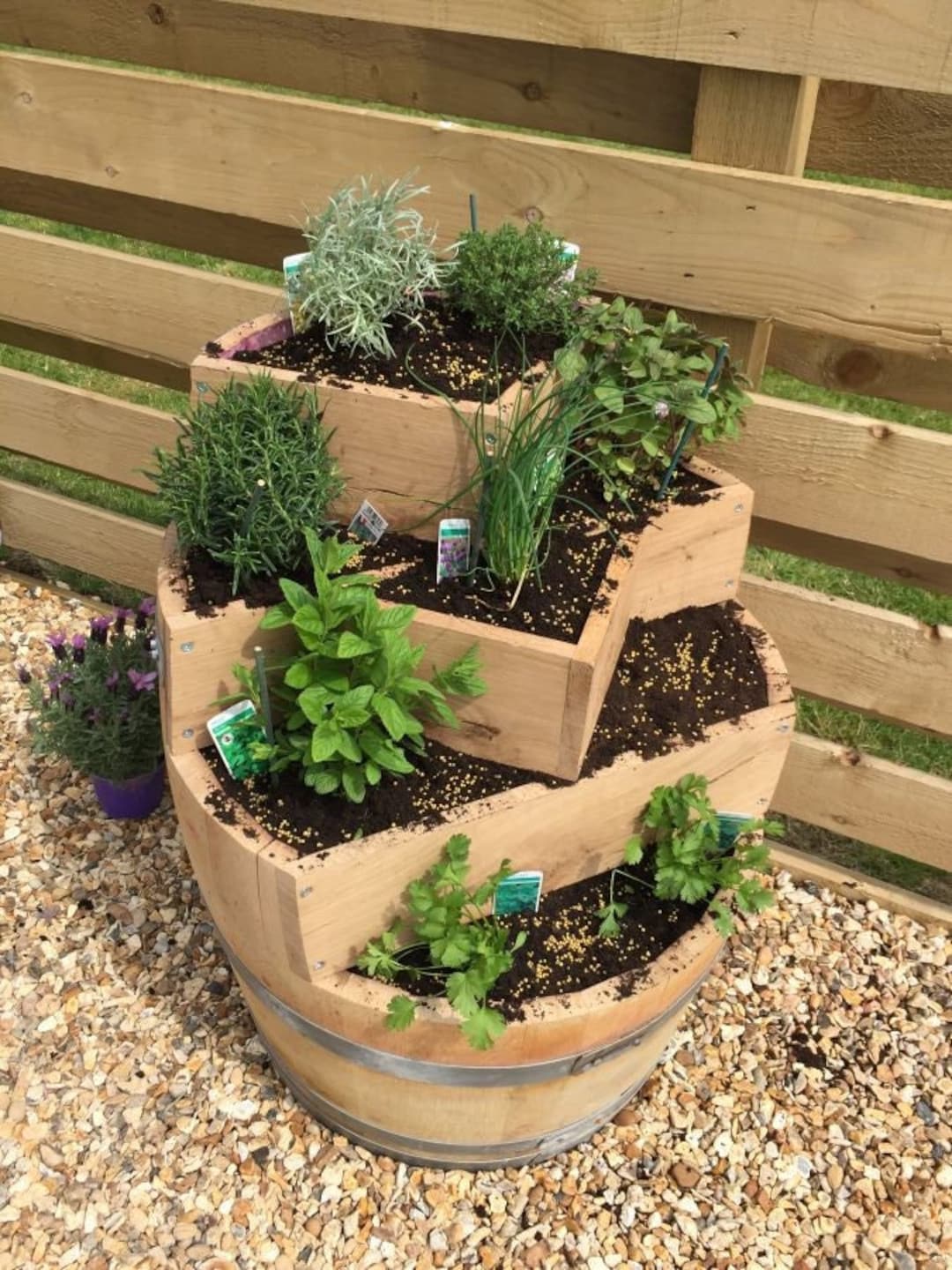 Oak Barrel Planter Multilevel Perfect for Garden, Kitchen