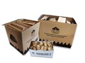 Firestarter Pack Hardwood/softwood Logs, Eco Firelighters And Kindling - Free Mainland Delivery