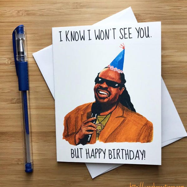 Funny Stevie Birthday Card, Funny Birthday Card, Inappropriate Humor, Musician Gift, Internet Meme, Naughty Birthday Humor, Bday Card