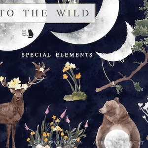 Into the Wild - Gwiaździsta noc Specjalne elementy-Akwarela-Księżyc-Gwiazda-Las-Drzewo-Krzew kwiatowy-Jeleń-Lis-Niedźwiedź-Wilk-Ślubny Clipart