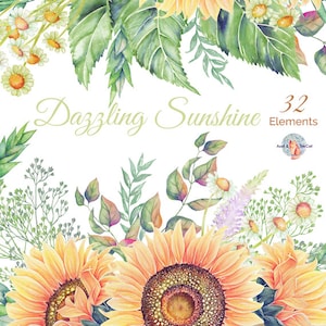 Aquarela deslumbrante luz do sol elementos flores pintados à mão, floral, peônias, rosa, convite de casamento, cartão de felicitações, clipart diy