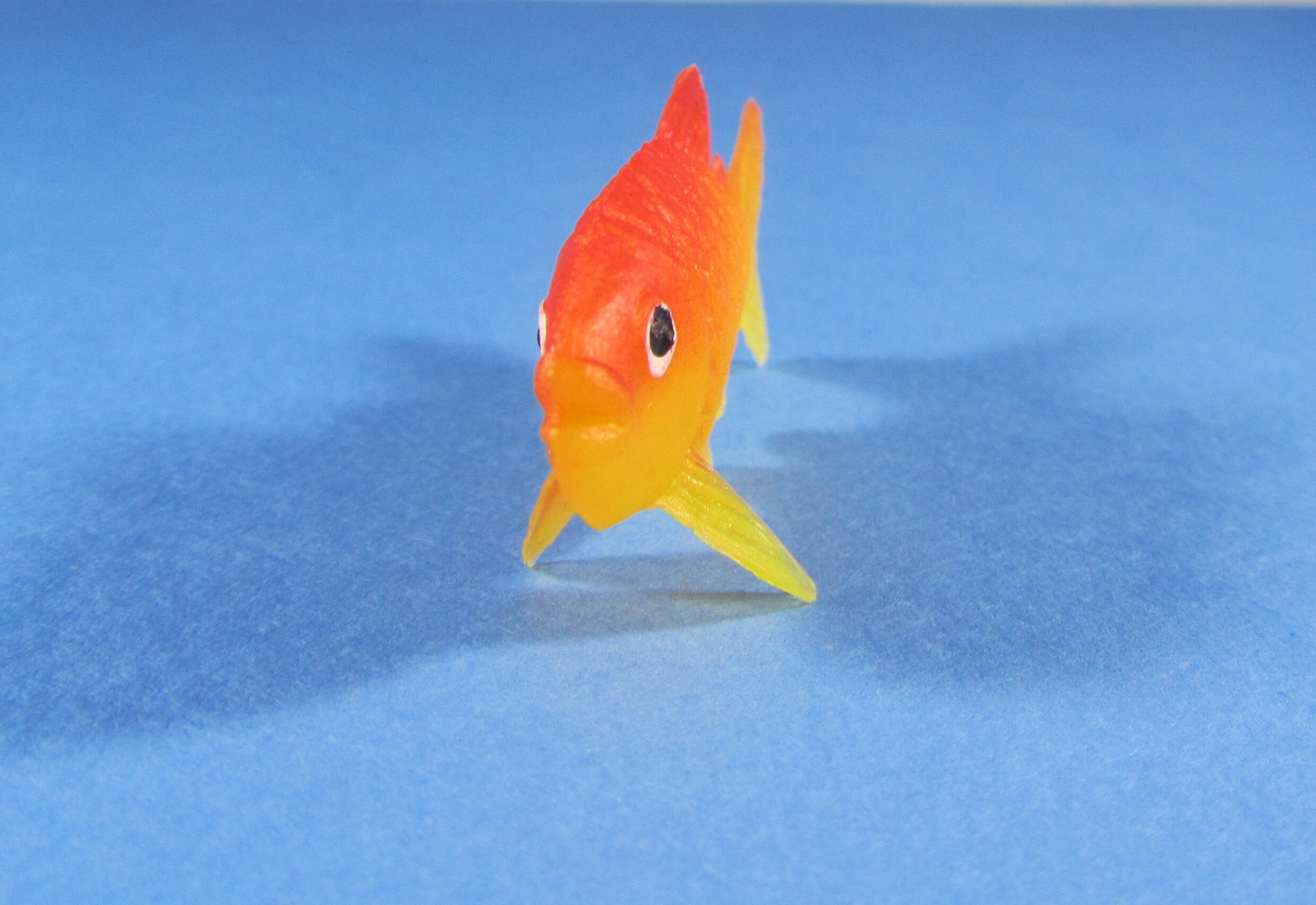 Plastic Goldfish and Aquatic Plants Diorama Craft Supplies Etsy