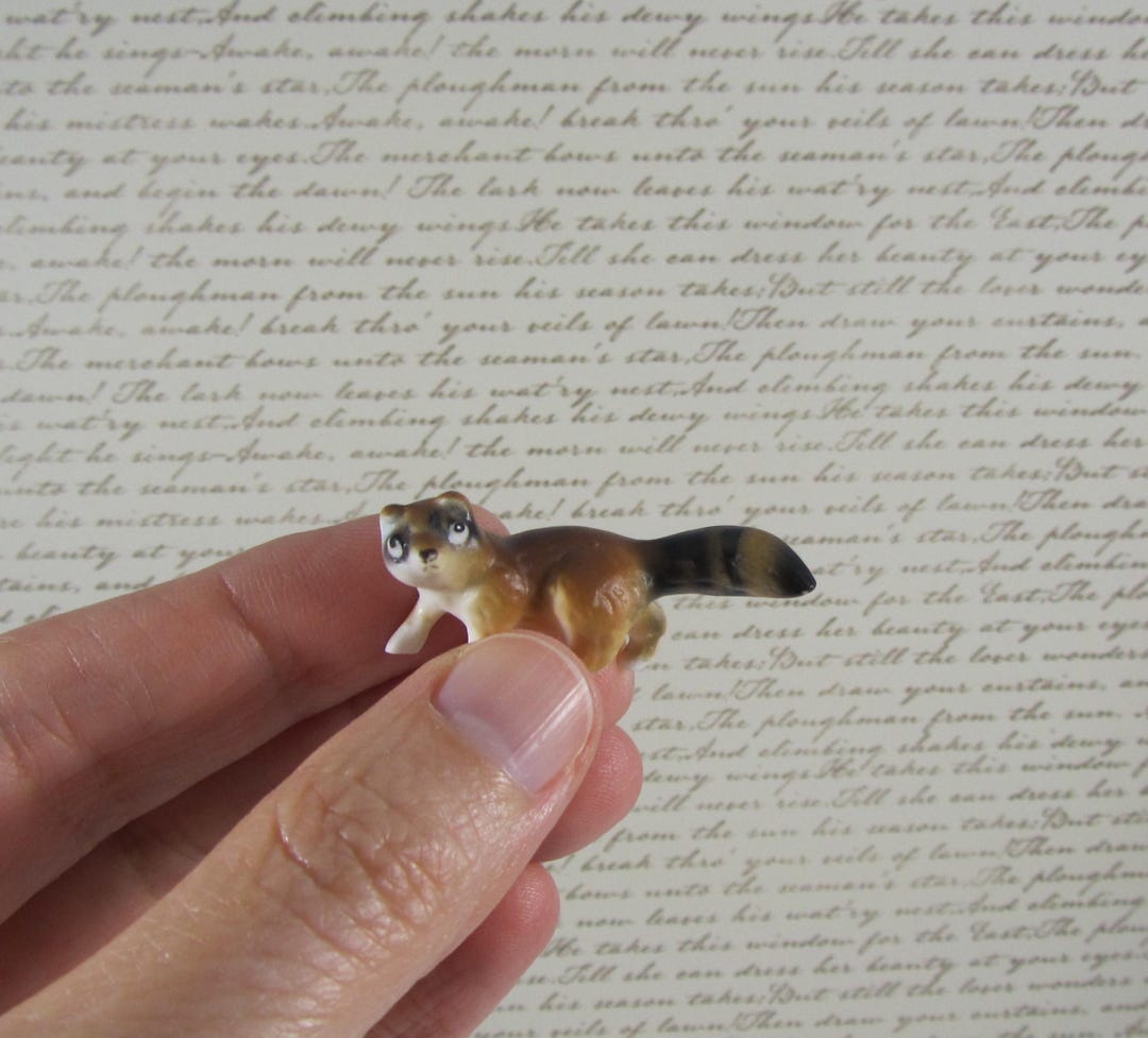 Mini Racoon Figures Miniature Raccoon Figurine Realistic Bone China Animal - Etsy