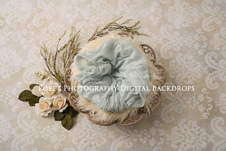 For Digital composite flowers Digital Newborn Photography Girl 3 versions of Cream Floral Backdrop Background