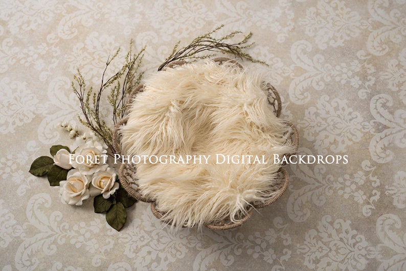 For Digital composite flowers Digital Newborn Photography Girl 3 versions of Cream Floral Backdrop  Background