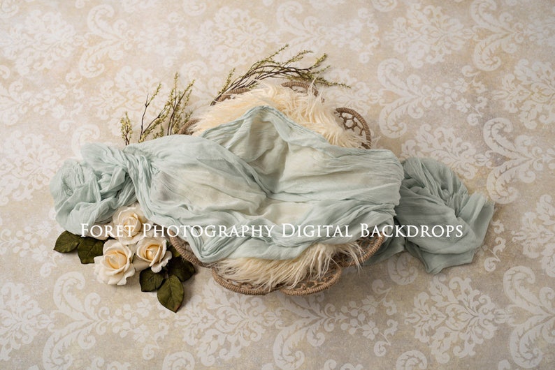 For Digital composite flowers Digital Newborn Photography Girl 3 versions of Cream Floral Backdrop Background