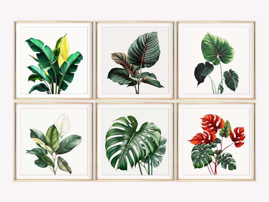 Modern Tropical Plant Wall Art Set for Beach House Plant Painting