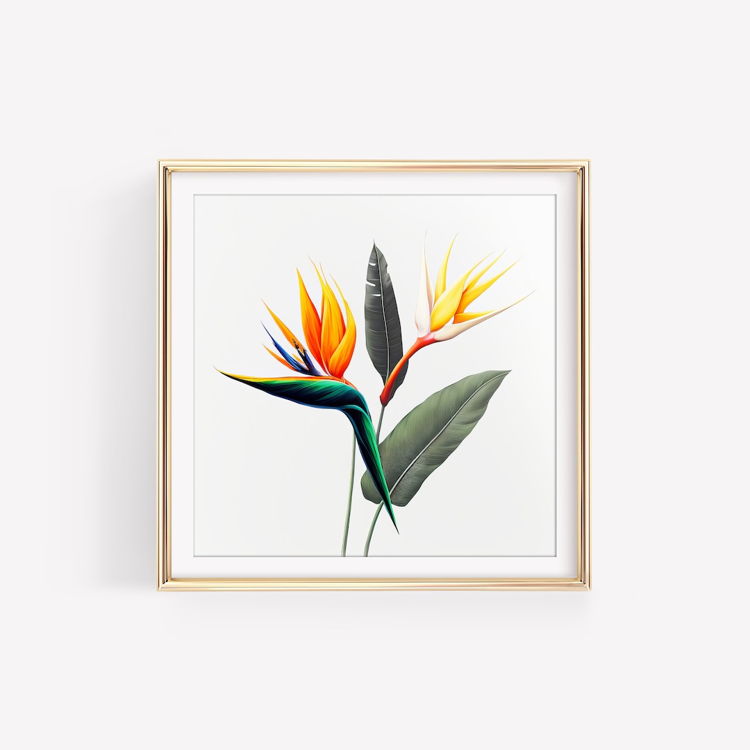 Modern Tropical Wall Art for Beach House Flower Painting Living Room