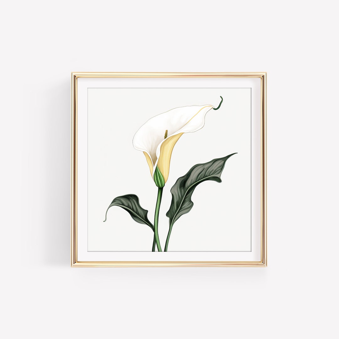 Modern Tropical Flower Wall Art for Beach House Flower Painting Living