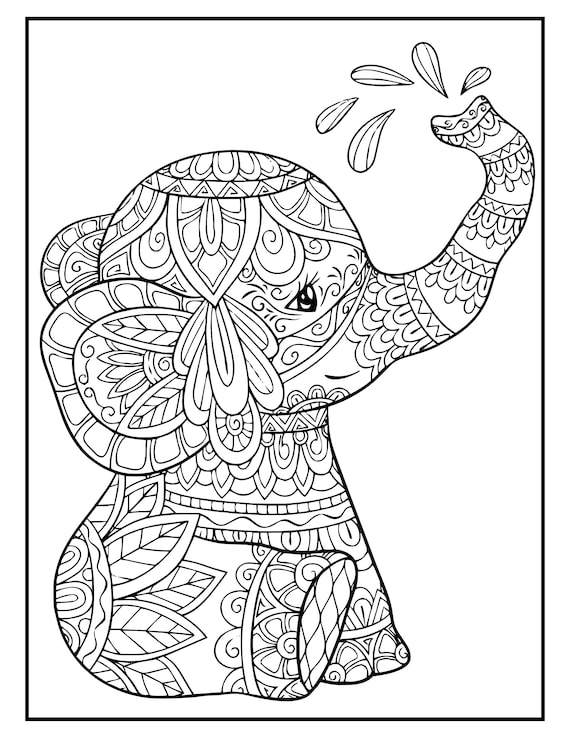 Libro de Colorear Adultos Elefante: Libro Colorear 50 Unilateral Diseños de  Elefantes Diseños para Aliviar el Estrés Libro para Colorear Adultos Relaj  (Paperback)