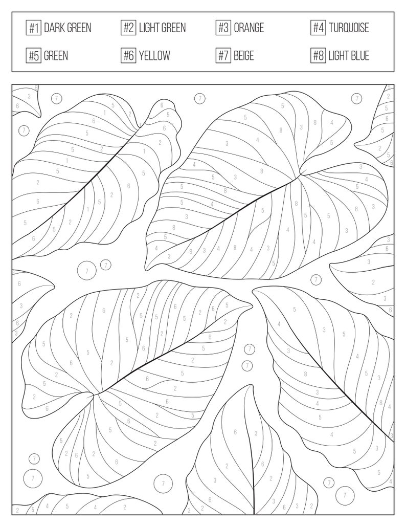 Color by Numbers Printable Coloring Book for Adults & Teens , Etsy image 3
