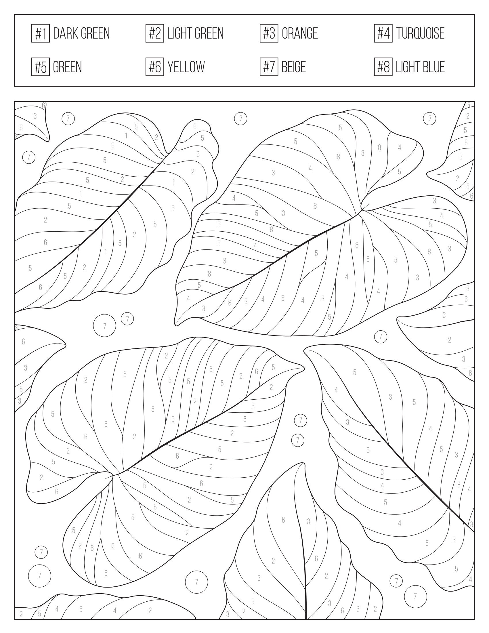 Color by Numbers Printable Coloring Book for Adults & Teens , Etsy