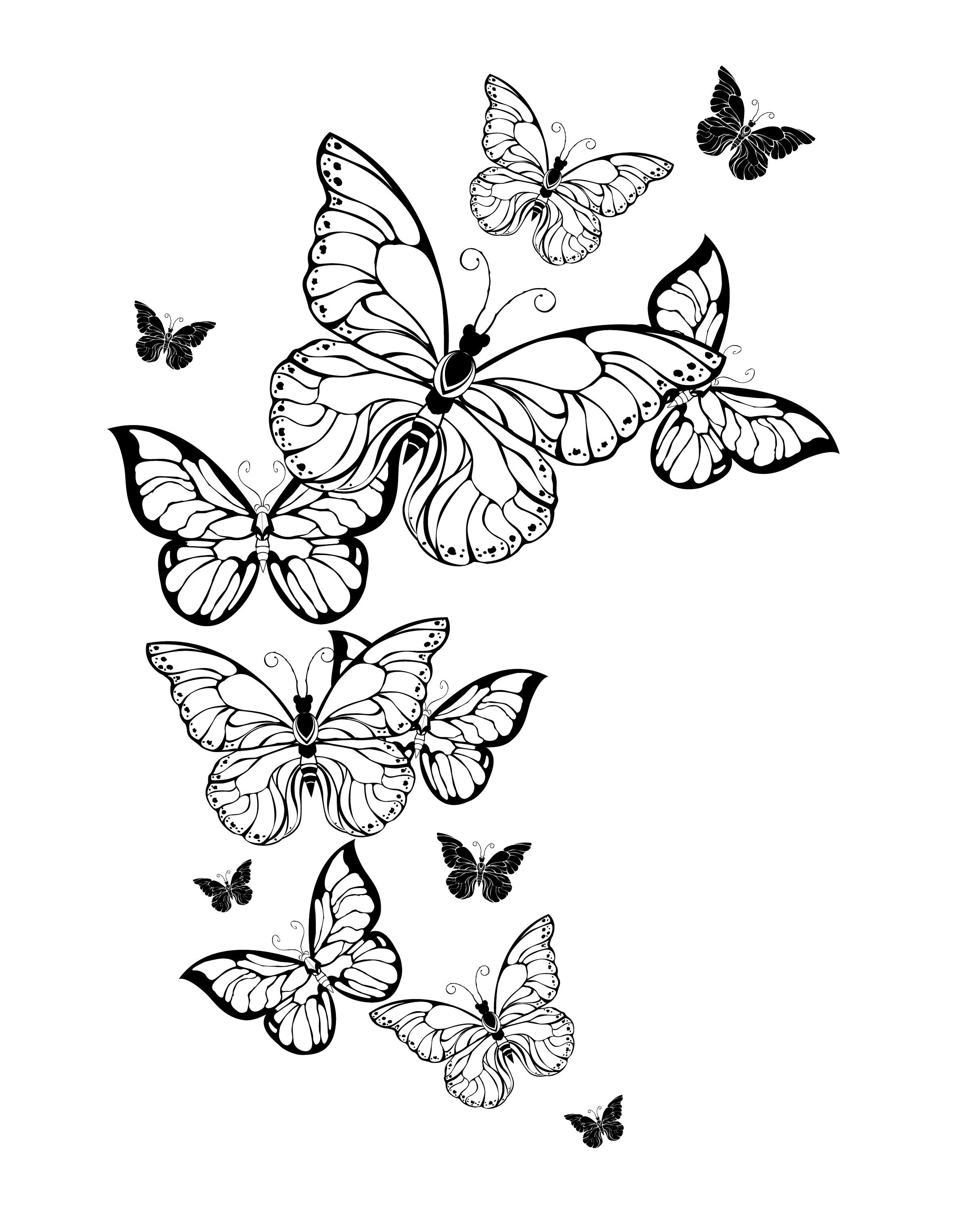 butterfly-coloring-pages-butterfly-coloring-book-for-adults-etsy-israel